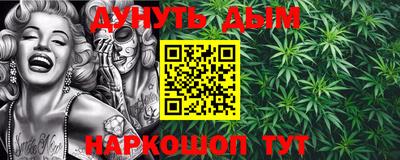 МДПВ Гатчина