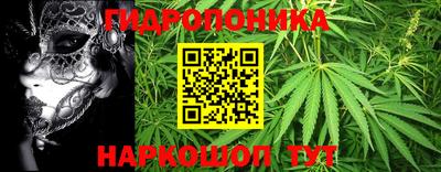 наркотики Гай