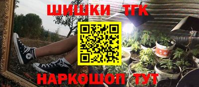 МДПВ Гатчина