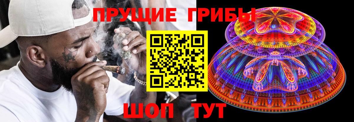 Оренбург  Псилоцибиновые грибы GOLDEN TEACHER  Вход с VPN  Псилоцибиновые грибы MAGIC MUSHROOMS 