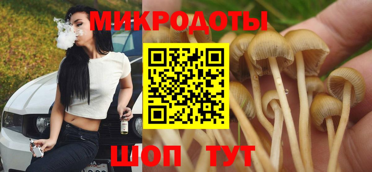 Псилоцибиновые грибы мицелий Оренбург